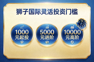 不同金额的投资组合图标，代表狮子国际灵活的投资门槛