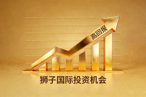 金色箭头向上增长的图表，象征狮子国际提供的高回报投资机会